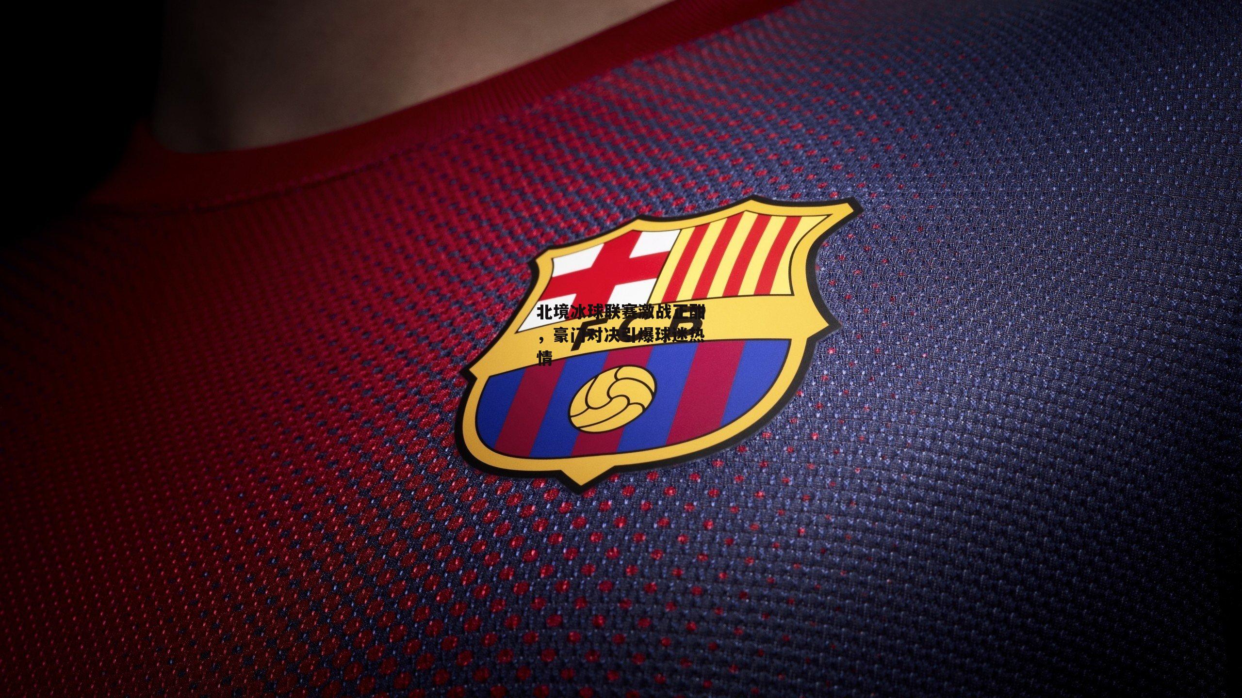 【欧亿体育】北境冰球联赛激战正酣，豪门对决引爆球迷热情